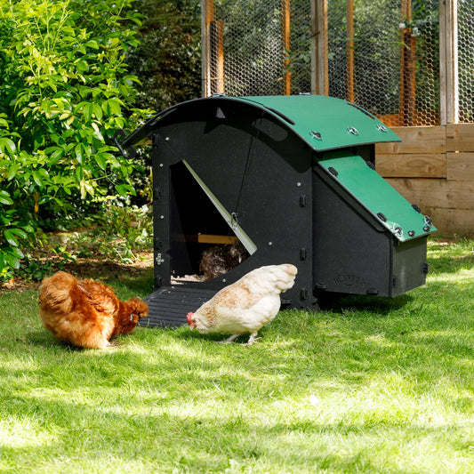 Nestera Chicken House - Small