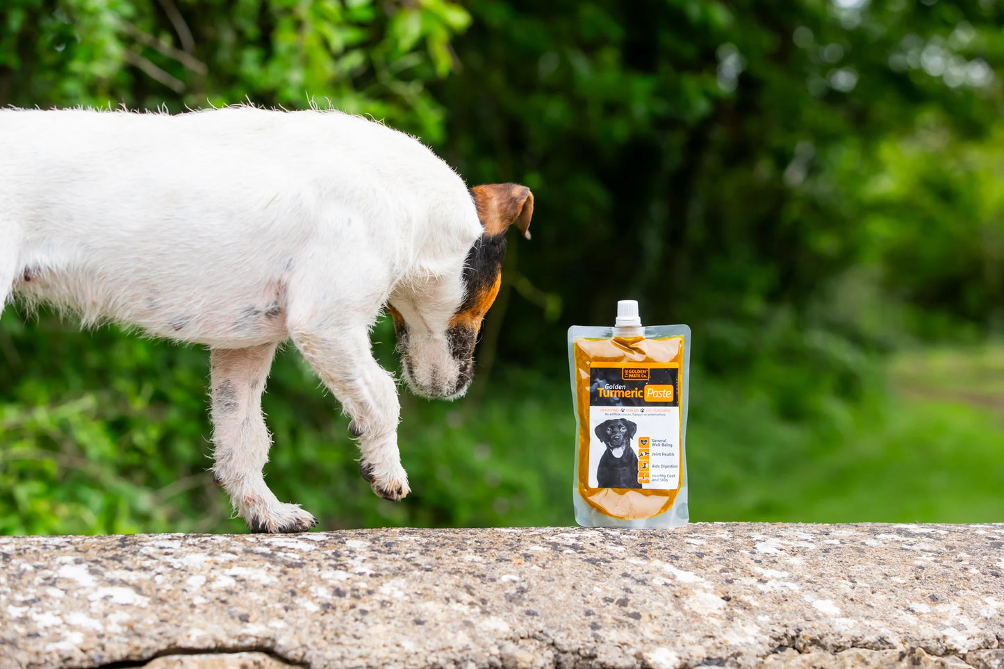 Turmeric Golden Paste for  Dogs