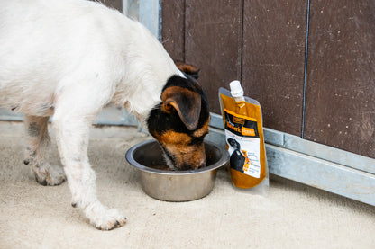 Turmeric Golden Paste for  Dogs