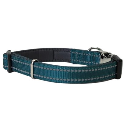 Doodlebone Padded Collar, Teal