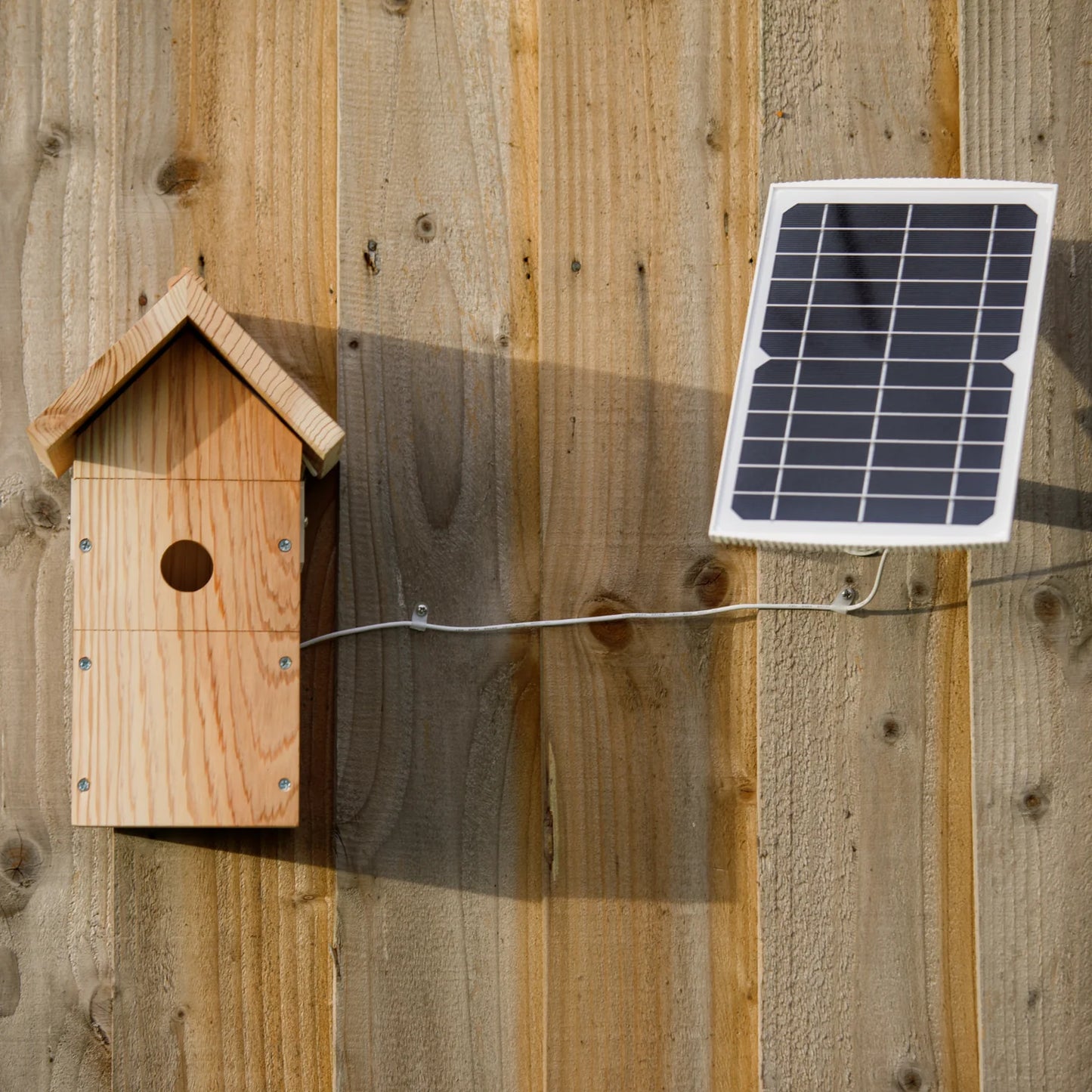 Nestera Solar Powered Wifi Camera + Birdbox