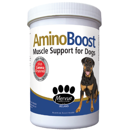 Amino Boost Powder 700g