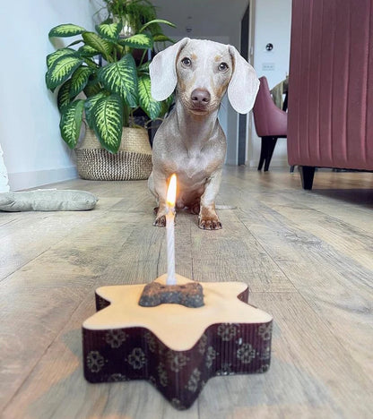 Yoghurt Topped Star Cake w/ Bone