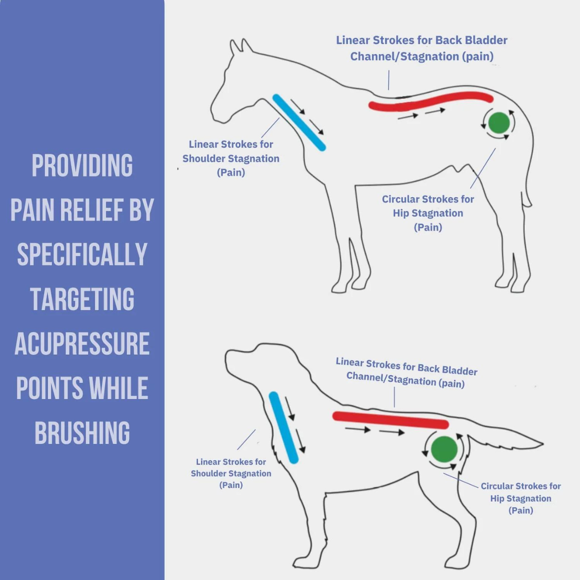 Curry On A Stik' - Therapeutic Curry Comb for Horses, Dogs, and Cats