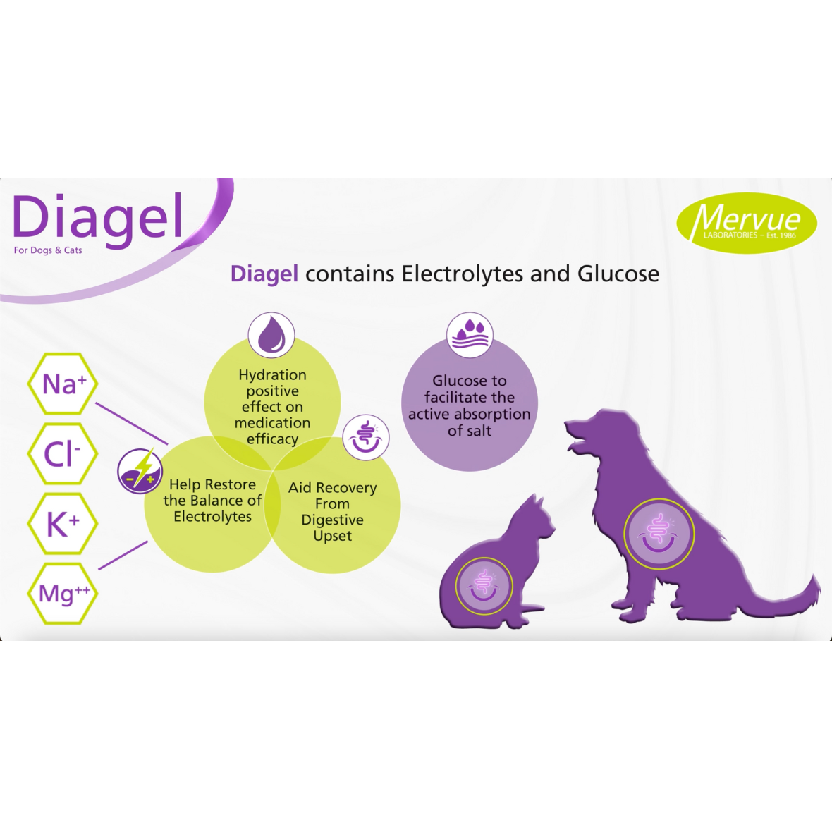 Diagel Digestive Support for Dogs and Cats