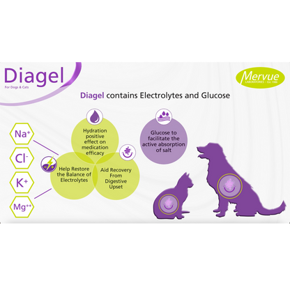 Diagel Digestive Support for Dogs and Cats