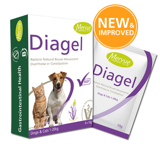 Diagel Digestive Support for Dogs and Cats