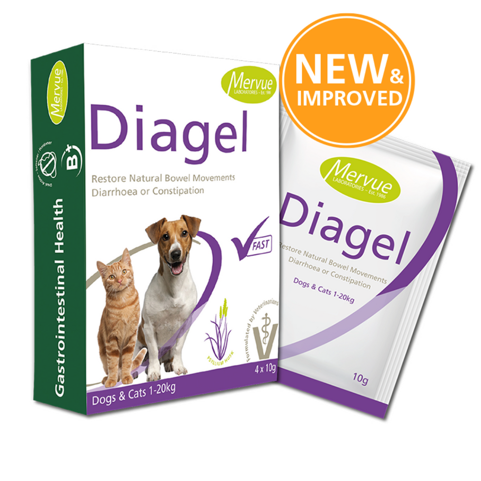 Diagel Digestive Support for Dogs and Cats | Buy Now – OurPetsLife