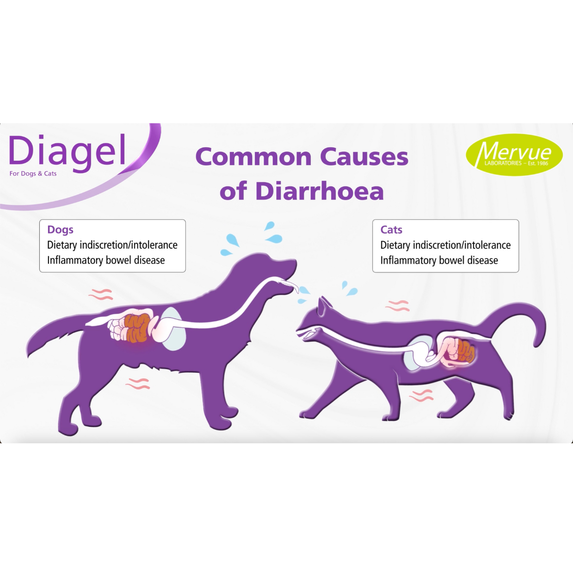 Diagel Digestive Support for Dogs and Cats