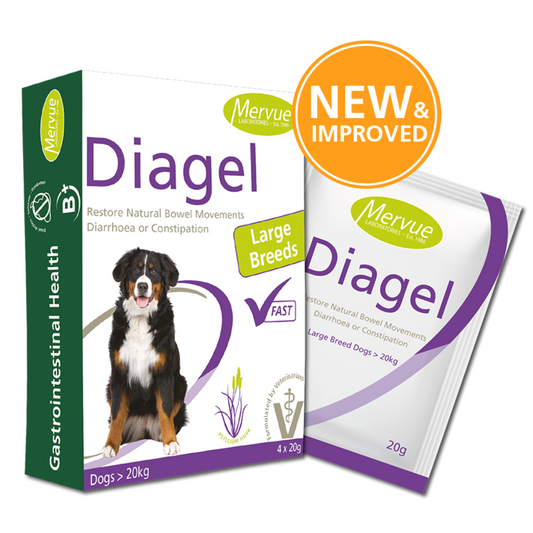 Diagel Digestive Support for Large Dogs