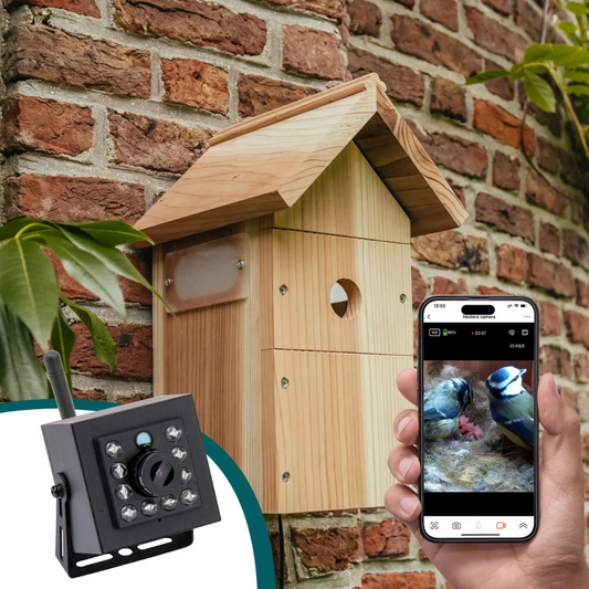 Nestera WiFi Bird Box Camera System