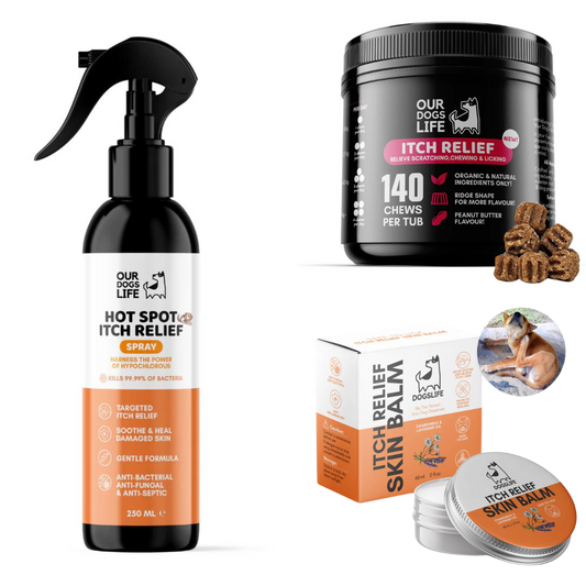 Itch Relief Bundle for Dogs