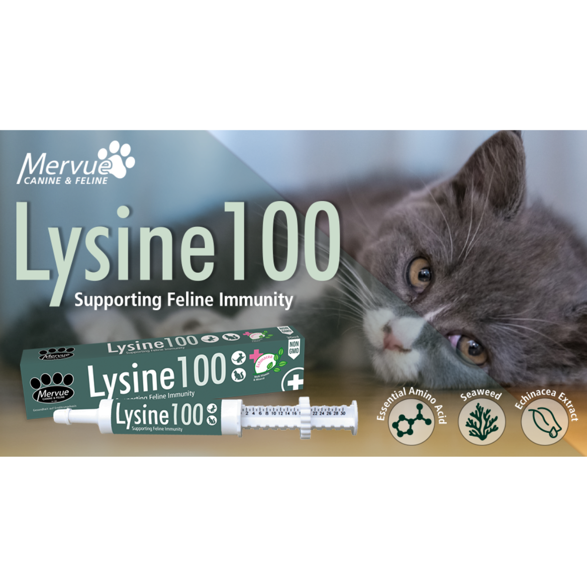 Mervue Lysine 100 Paste for Cats & Kittens