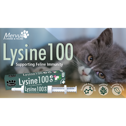 Mervue Lysine 100 Paste for Cats & Kittens