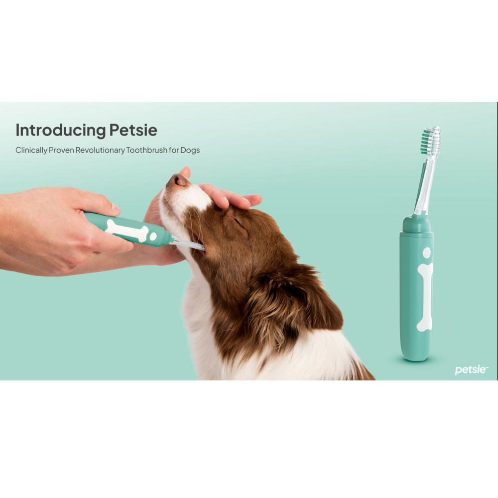 Petsie Revolutionary Dog Toothbrush