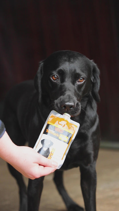 Turmeric Golden Paste for  Dogs