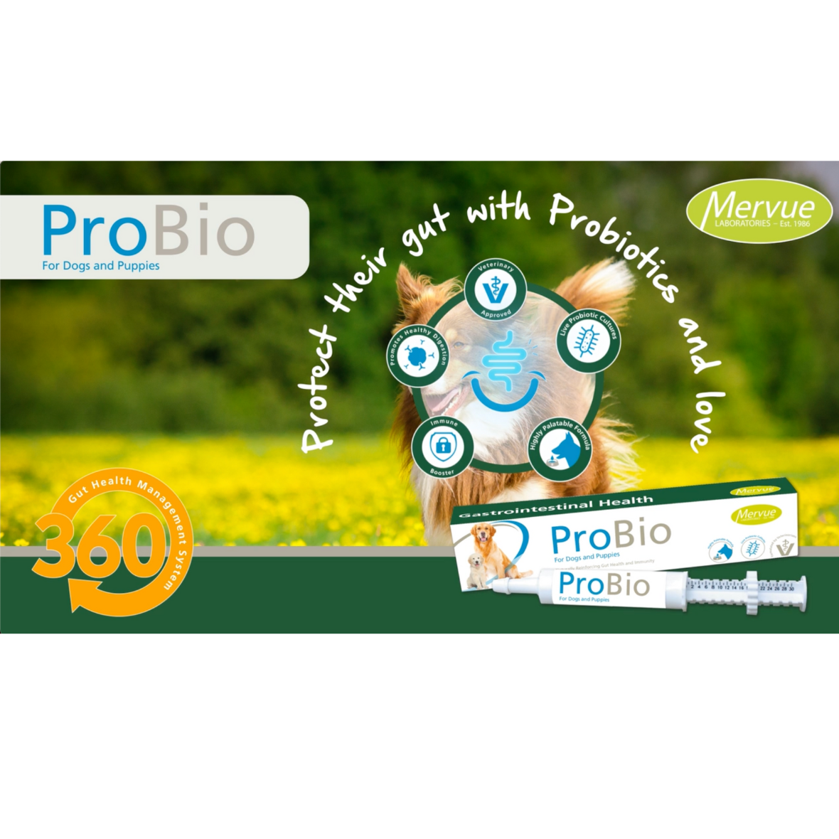 ProBio Paste for Dogs & Puppies