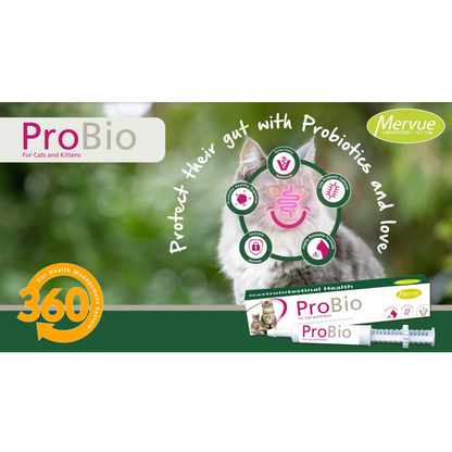 ProBio Paste for Cats & Kittens