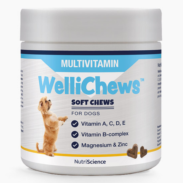 WelliChews Multivitamin Soft Chews for Dogs 60 Buy Now OurPetsLife